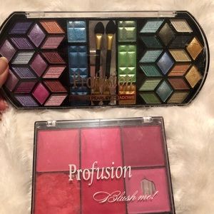 Profusion eyeshadow palette and blush